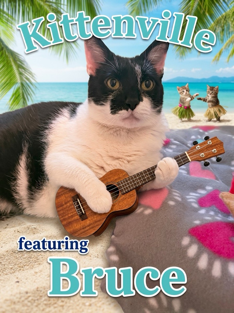 bruce-1.jpg