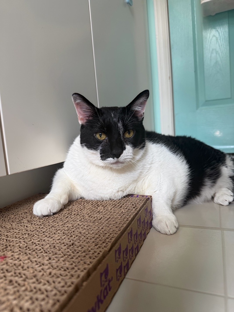 bruce-2.jpg