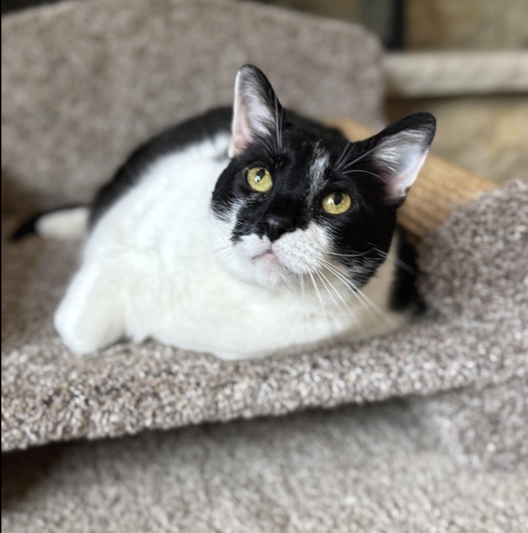bruce-6.jpg